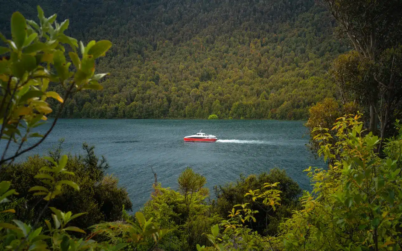 cruise-lake-wakatipu