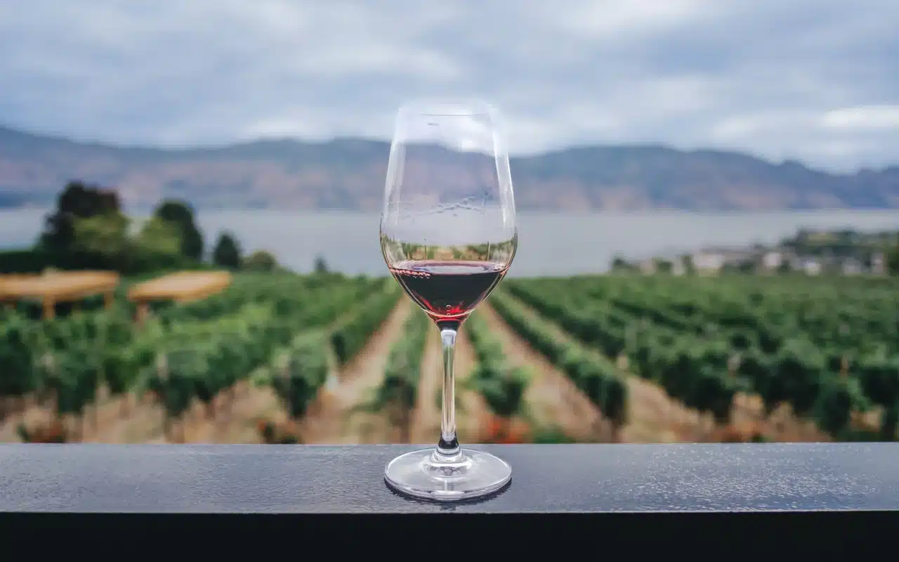 glass-wine-backdrop