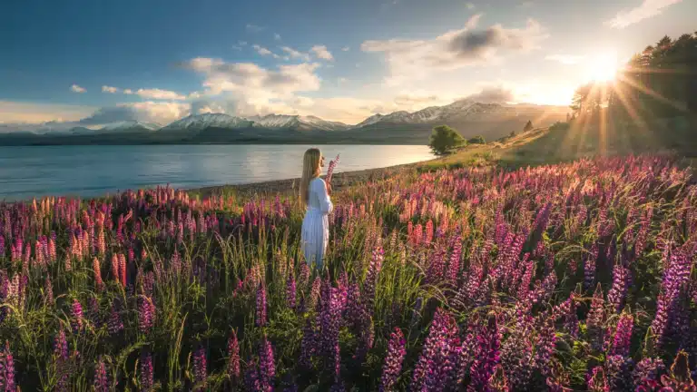 20 Amazing Things to Do in Lake Tekapo New Zealand