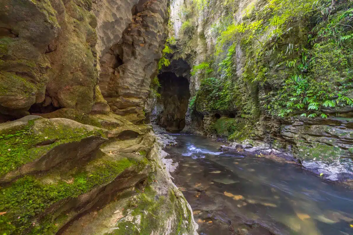 Ruakuri-gorge-cave