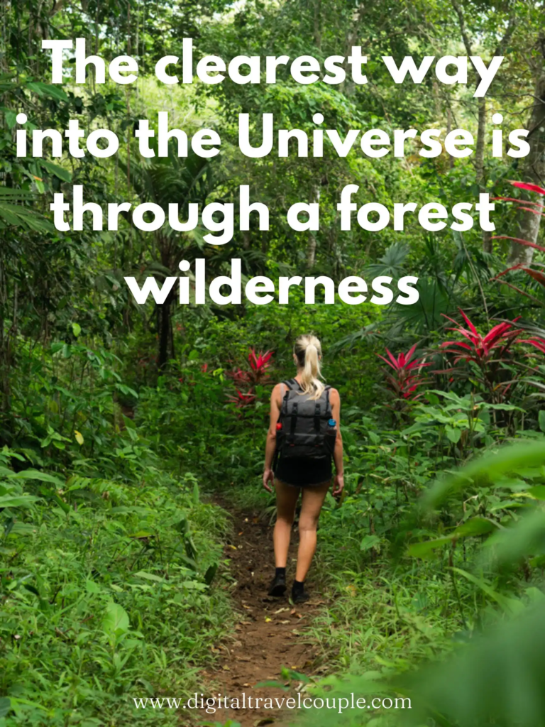 hiking-quotes-forest