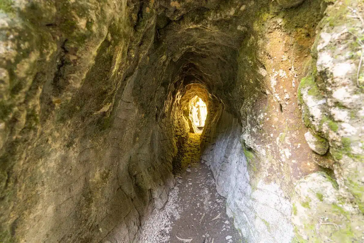 ruakuri-natural-tunnel