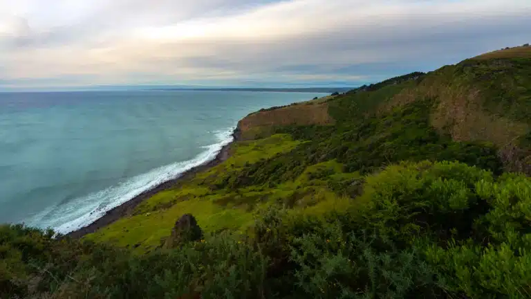 Stunning TE TOTO GORGE LOOKOUT – Raglan New Zealand