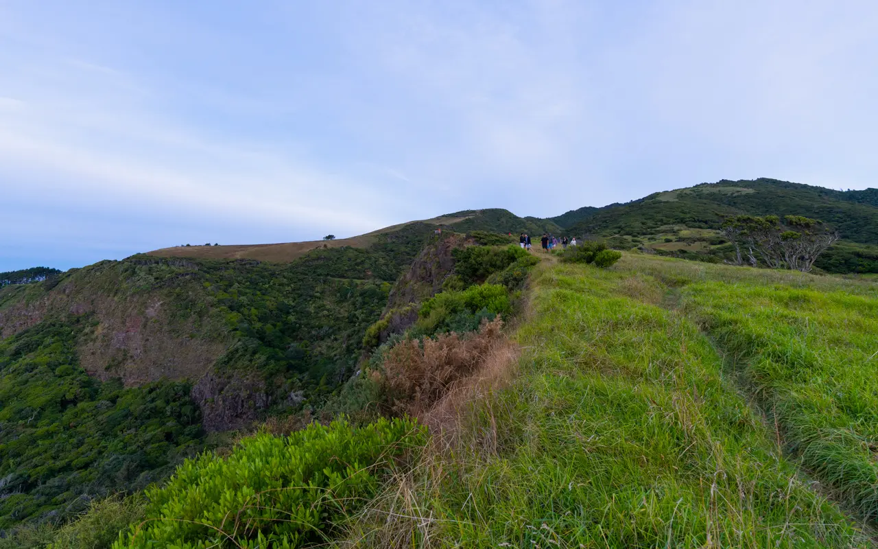 te-toto-gorge-lookout-grass-path