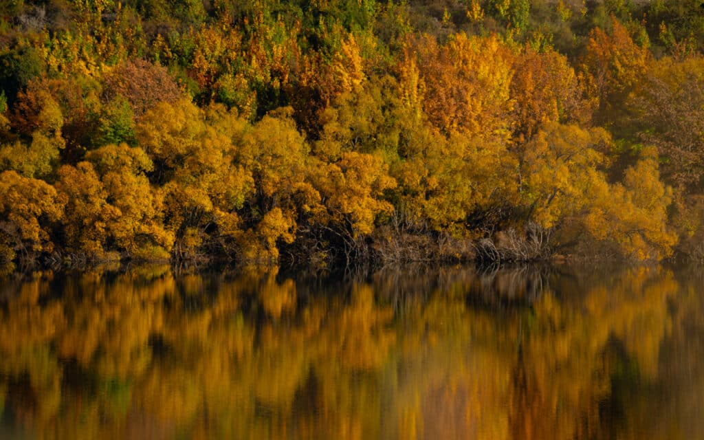 autumn-reflection-lake-hayes-new-zealand