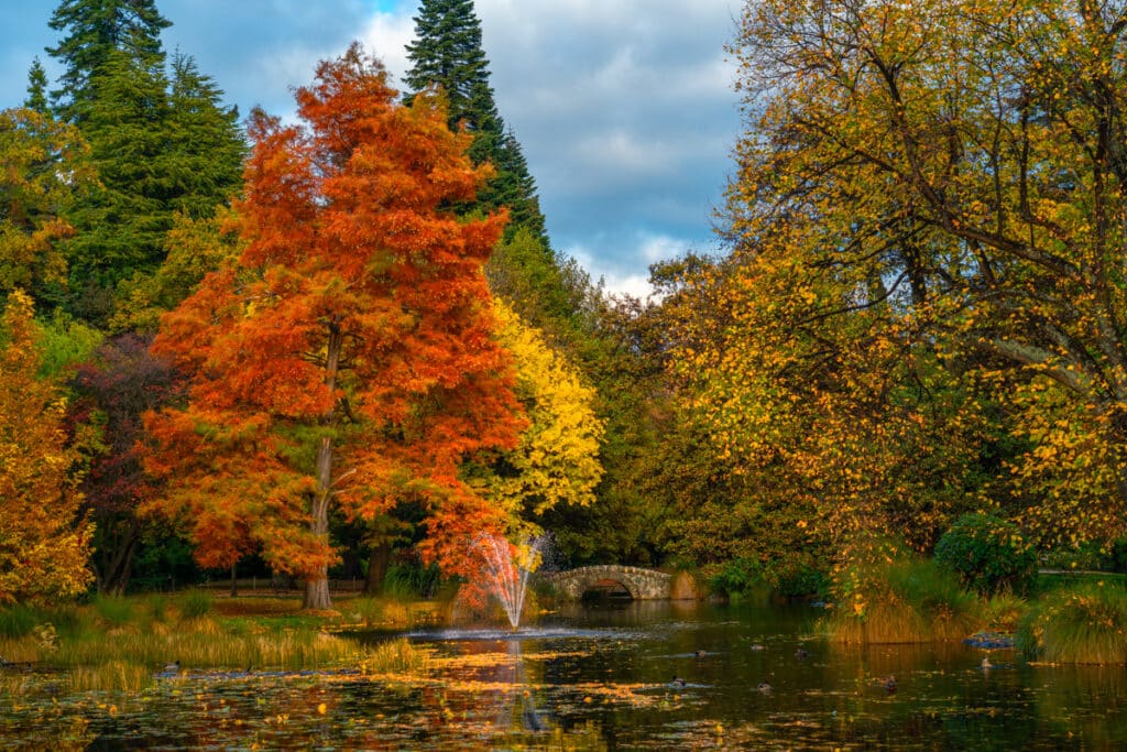 queenstown-gardens-autumn-display-queenstown-photo-spot