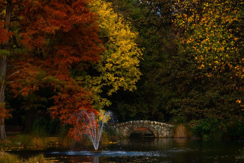 queenstown-gardens-autumn-queenstown-photo-spot