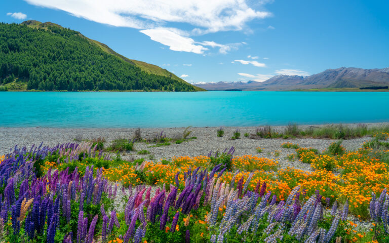SPRING IN NEW ZEALAND – Best places to visit & photograph