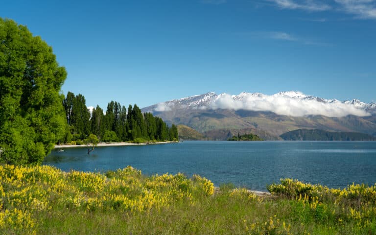 22 BEST THINGS TO DO IN WANAKA – The Ultimate Guide
