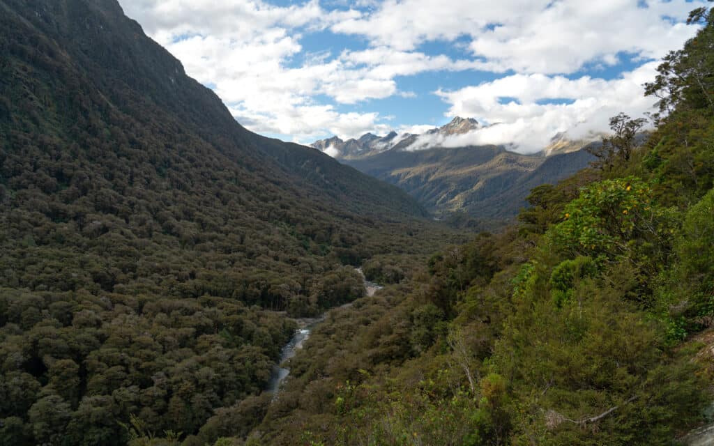 hollyford-valley-lookout