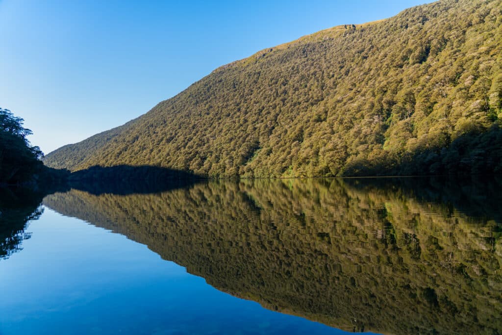 lake-fergus-reflection