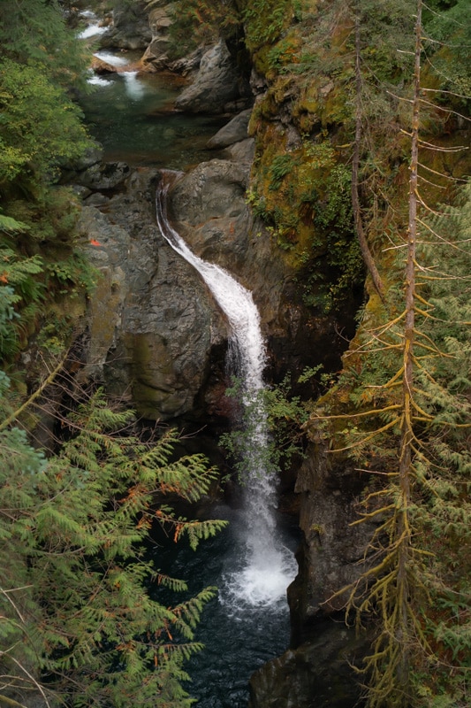 lynn-canyon-bridge-waterfall