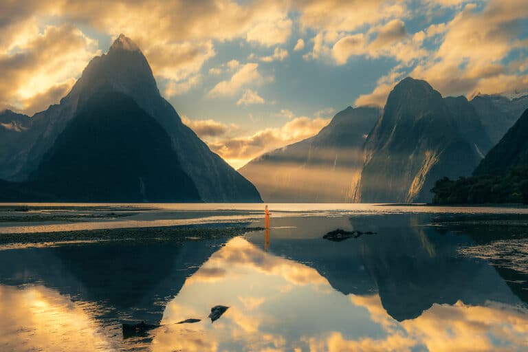 20 BEST THINGS TO DO IN MILFORD SOUND – Ultimate Guide