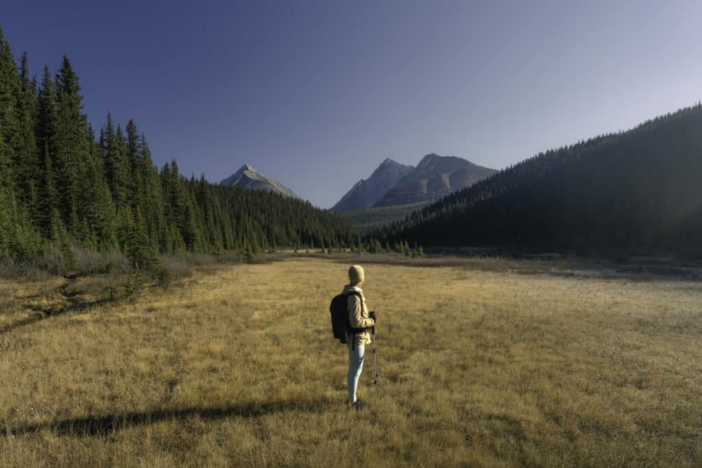 alpine-meadow-canada-smutwood-trail