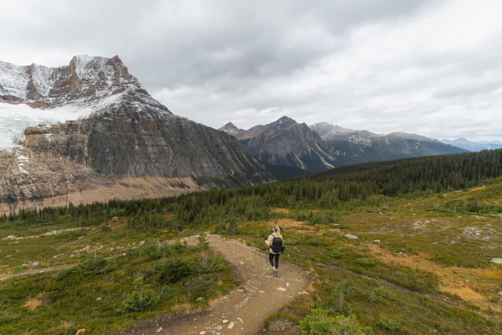 Mount-Edith-Cavell-hike-descending-meadows