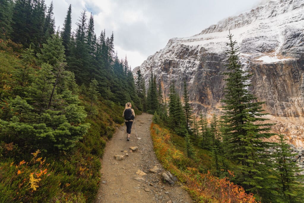 Mount-Edith-Cavell-hike-forest-path-hiker