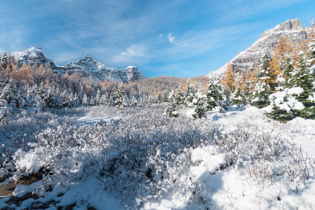 Larch-Valley-covered-in-snow