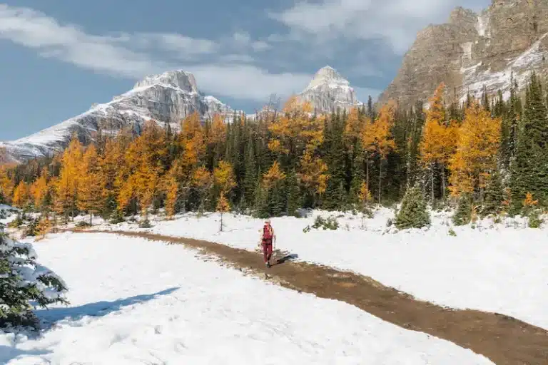 Beautiful Larch Valley Hike in Autumn – Best Banff Larch Hike