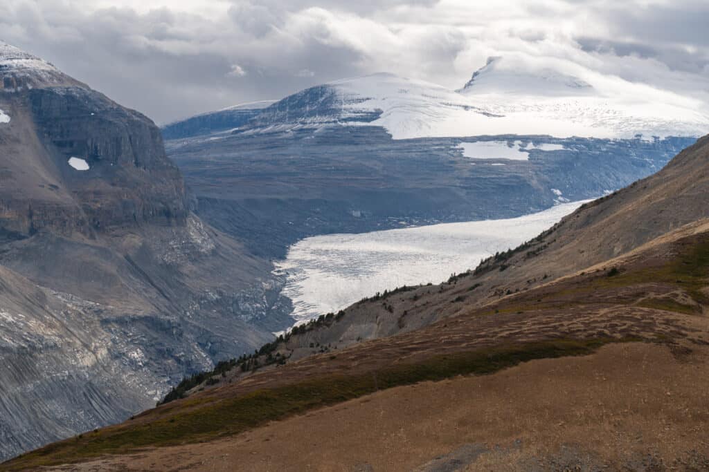 parker-ridge-trail-Saskatchewan-Glacier