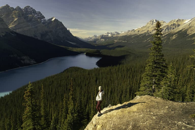 Visitors Guide to Stunning Peyto Lake in Canada