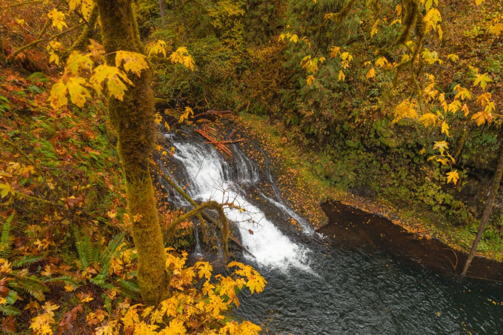 drake-falls-silver-state-park-oregon
