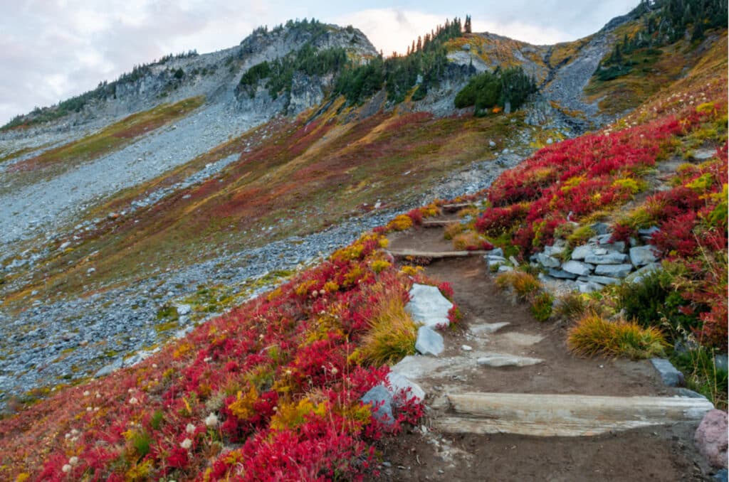 fall-colors--trail-mount-rainier