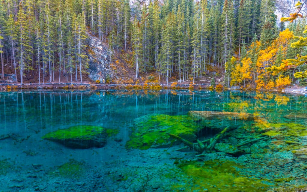 grassi-lakes-glassy-water-surface